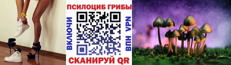 Купить  Лосино-Петровский  Галлюциногенные грибы Psilocybe 